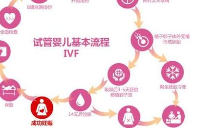 乳房涨是要来月经还是怀孕了？试管婴儿怀孕后胎儿的变化？试管婴儿怀孕后准妈妈的变化？
