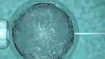 “郑州三代试管”河南省三代试管费用及成功率